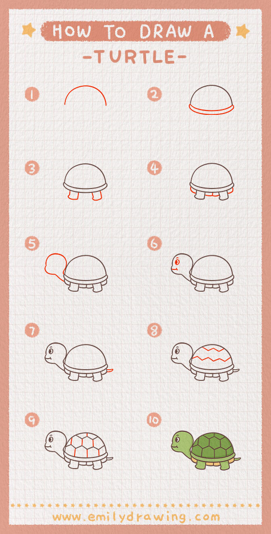 Preview of step by step turtle tutorial