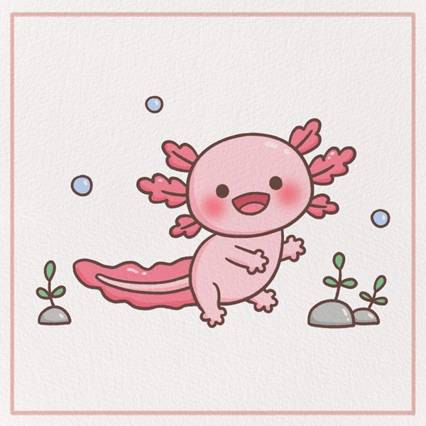 How to Draw a Tooth – Emily Drawing